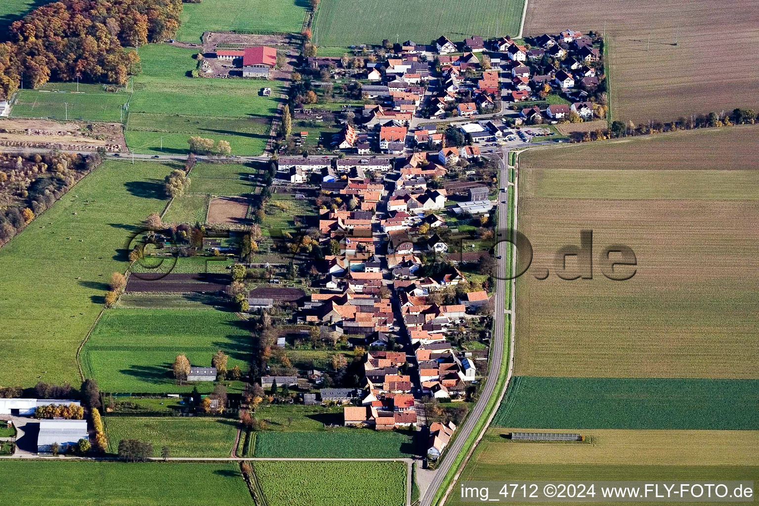 Luftbild von Dorf - Ansicht am Rande von landwirtschaftlichen Feldern und Nutzflächen im Ortsteil Minderslachen in Kandel im Bundesland Rheinland-Pfalz, Deutschland
