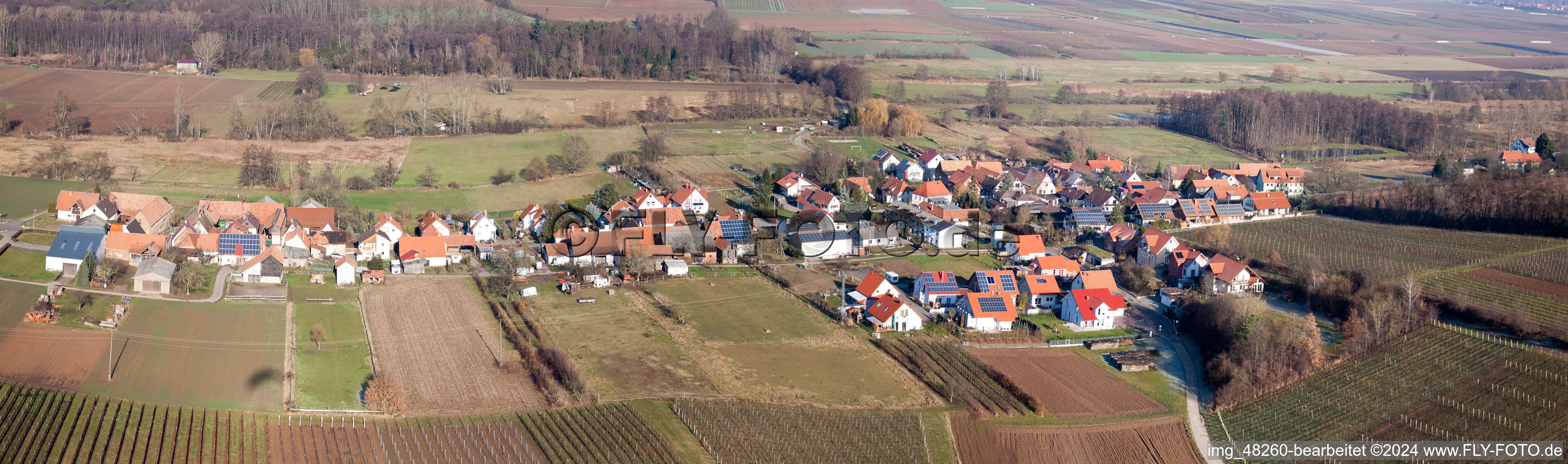 Panorama - Perspektive der Dorf - Ansicht am Rande von landwirtschaftlichen Feldern und Nutzflächen in Hergersweiler im Bundesland Rheinland-Pfalz, Deutschland