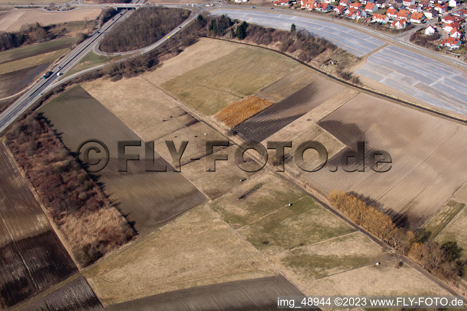 Luftbild von Neupotz im Bundesland Rheinland-Pfalz, Deutschland