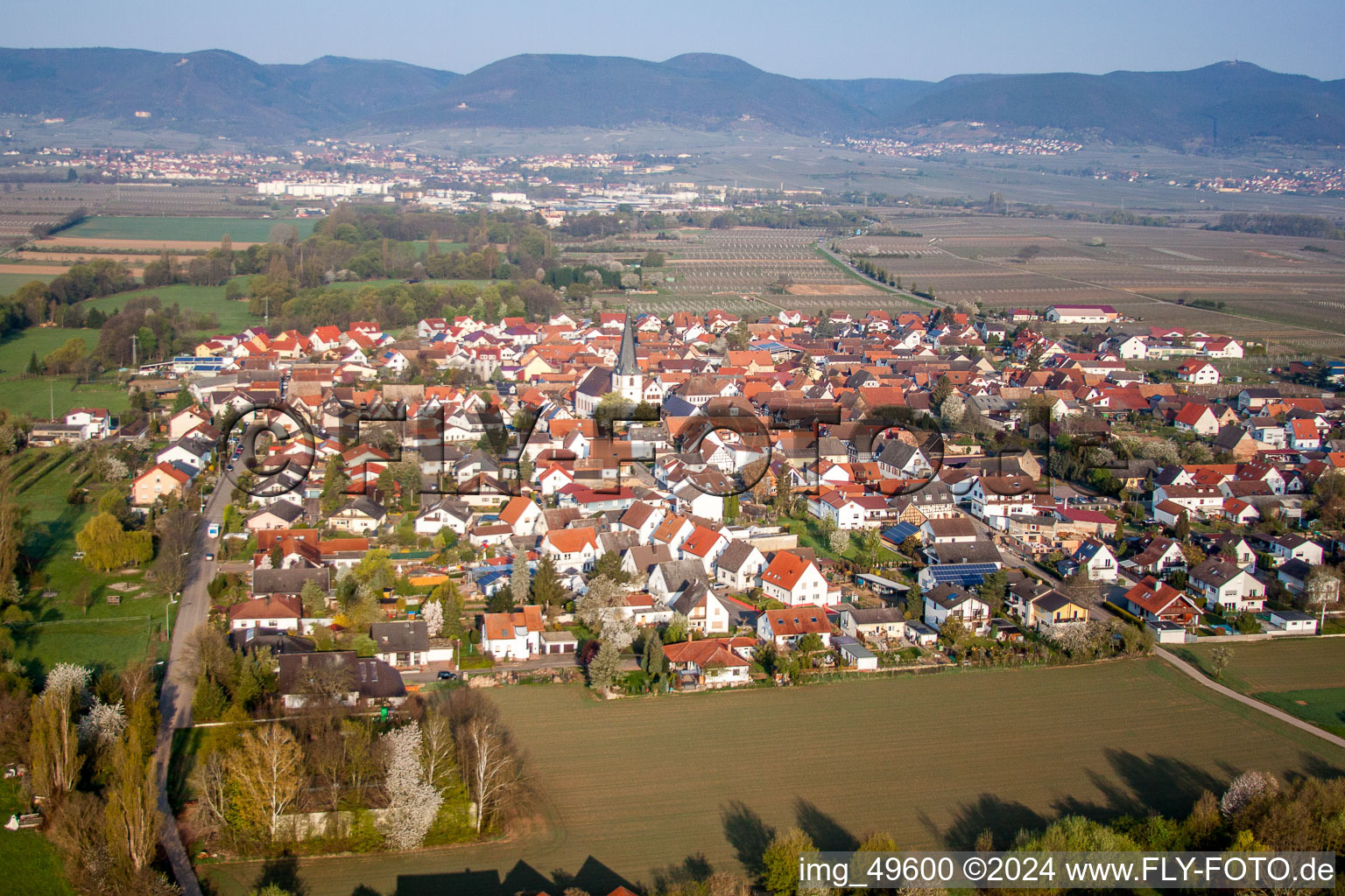 Dorf - Ansicht am Rande von landwirtschaftlichen Feldern und Nutzflächen in Venningen im Bundesland Rheinland-Pfalz, Deutschland vom Flugzeug aus