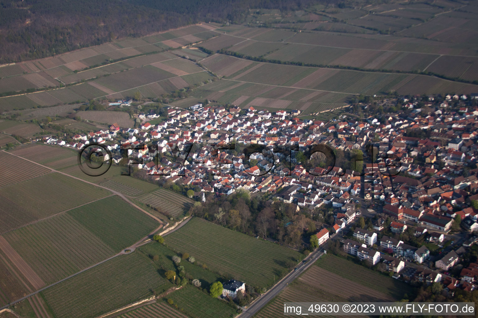 Luftaufnahme von Deidesheim im Bundesland Rheinland-Pfalz, Deutschland