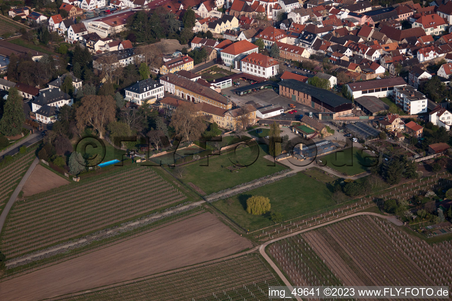 Wachenheim an der Weinstraße im Bundesland Rheinland-Pfalz, Deutschland von einer Drohne aus