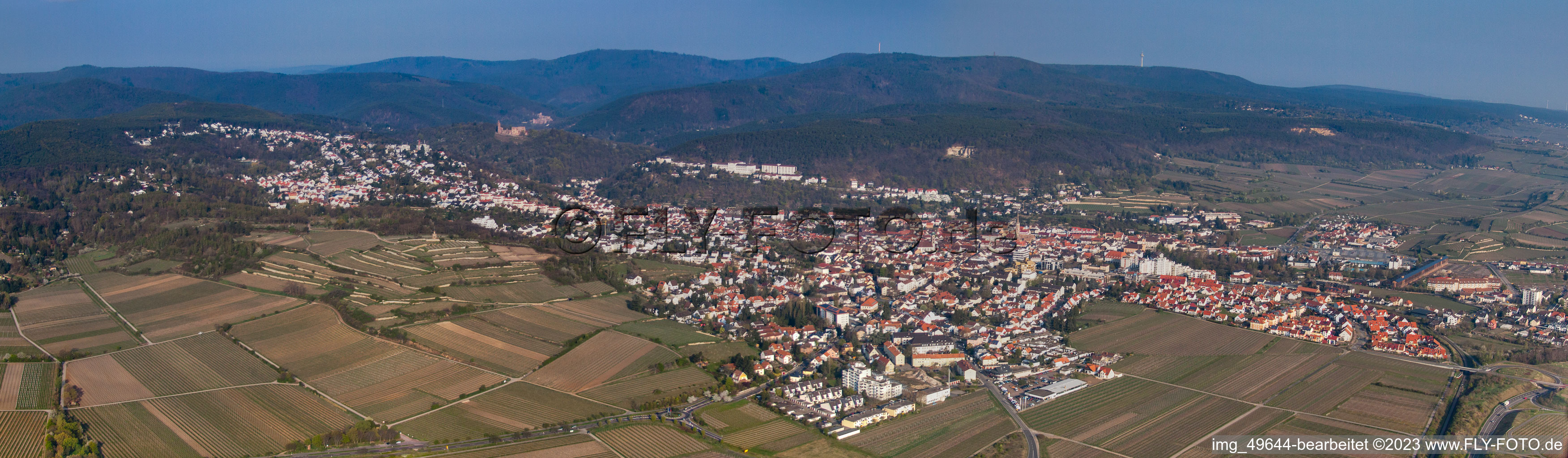 Panorama im Ortsteil Seebach in Bad Dürkheim im Bundesland Rheinland-Pfalz, Deutschland