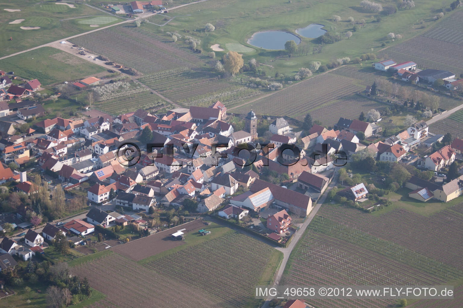 Luftbild von Dackenheim im Bundesland Rheinland-Pfalz, Deutschland