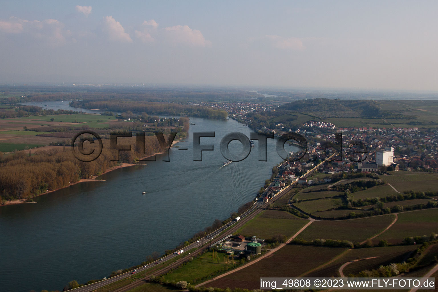 Nierstein am Rhein im Bundesland Rheinland-Pfalz, Deutschland