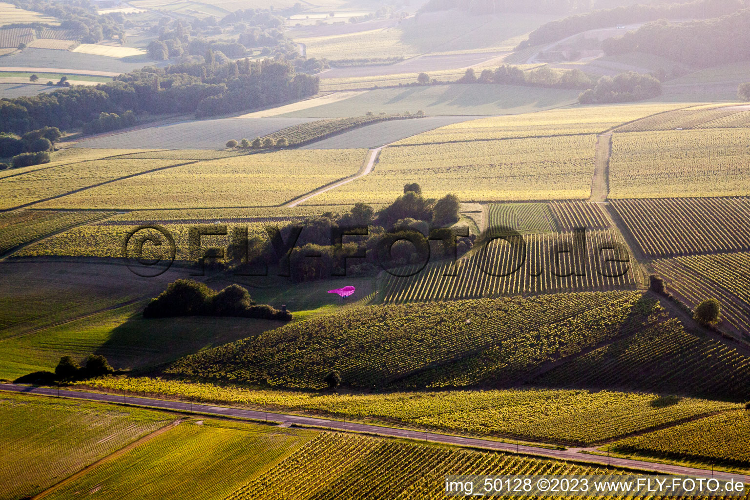 Luftbild von Niederhorbach, Ballonlandung im Bundesland Rheinland-Pfalz, Deutschland