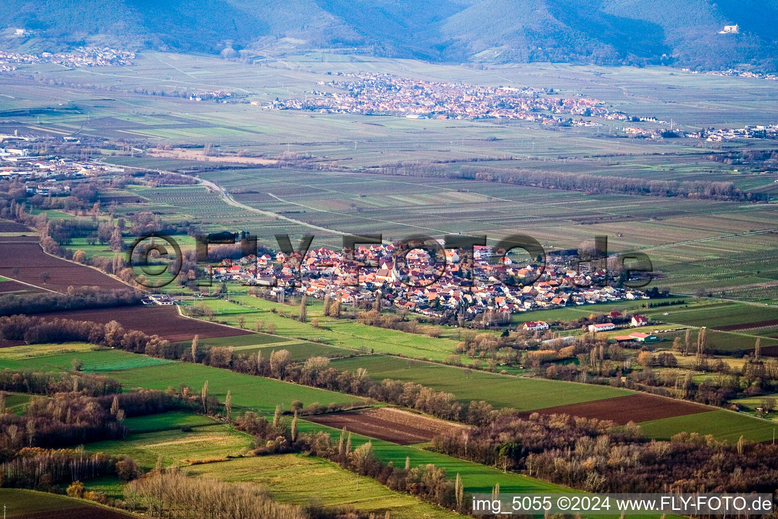 Dorf - Ansicht am Rande von landwirtschaftlichen Feldern und Nutzflächen in Venningen im Bundesland Rheinland-Pfalz, Deutschland aus der Vogelperspektive
