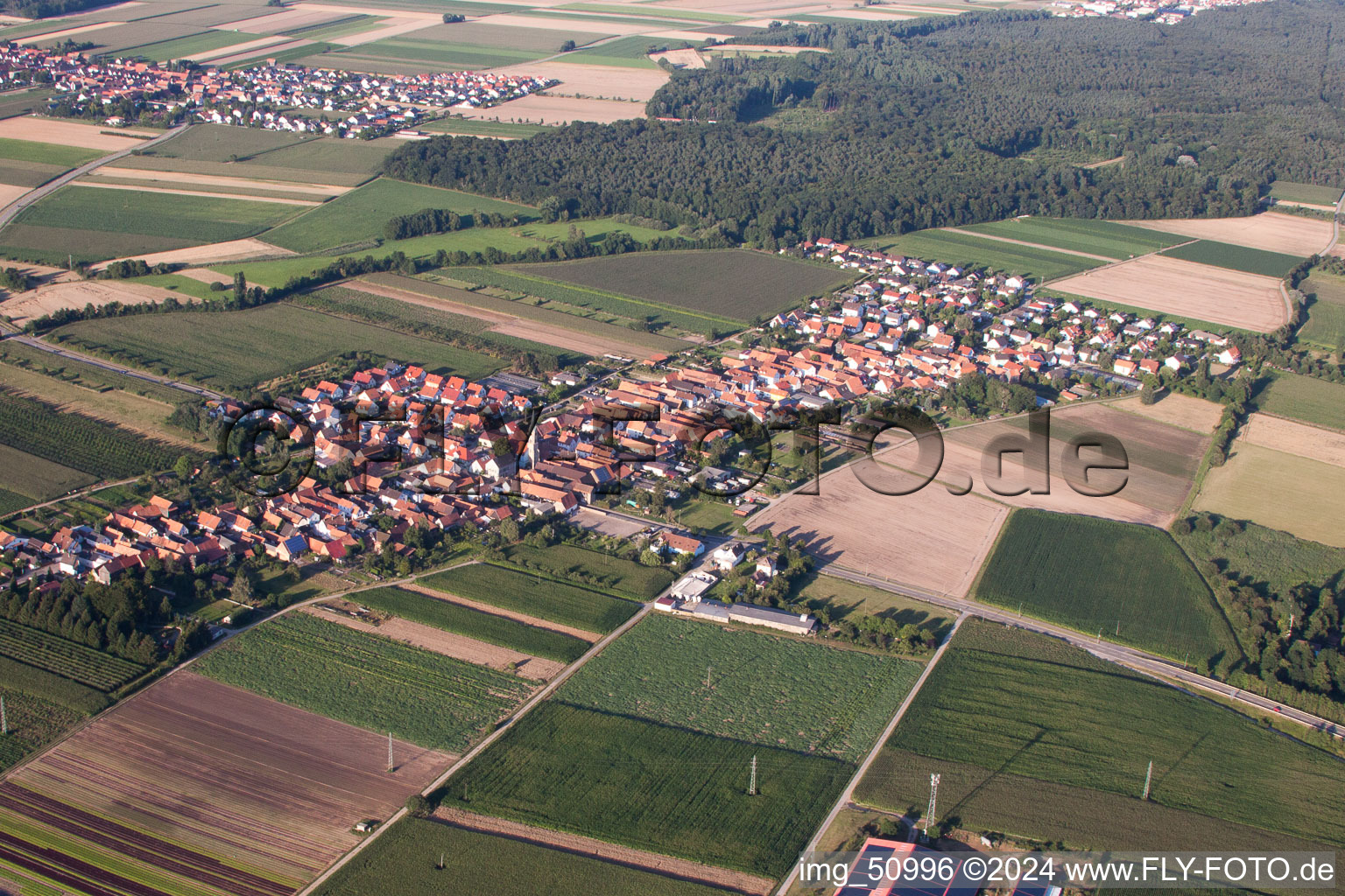 Luftaufnahme von Von Südwesten in Erlenbach bei Kandel im Bundesland Rheinland-Pfalz, Deutschland