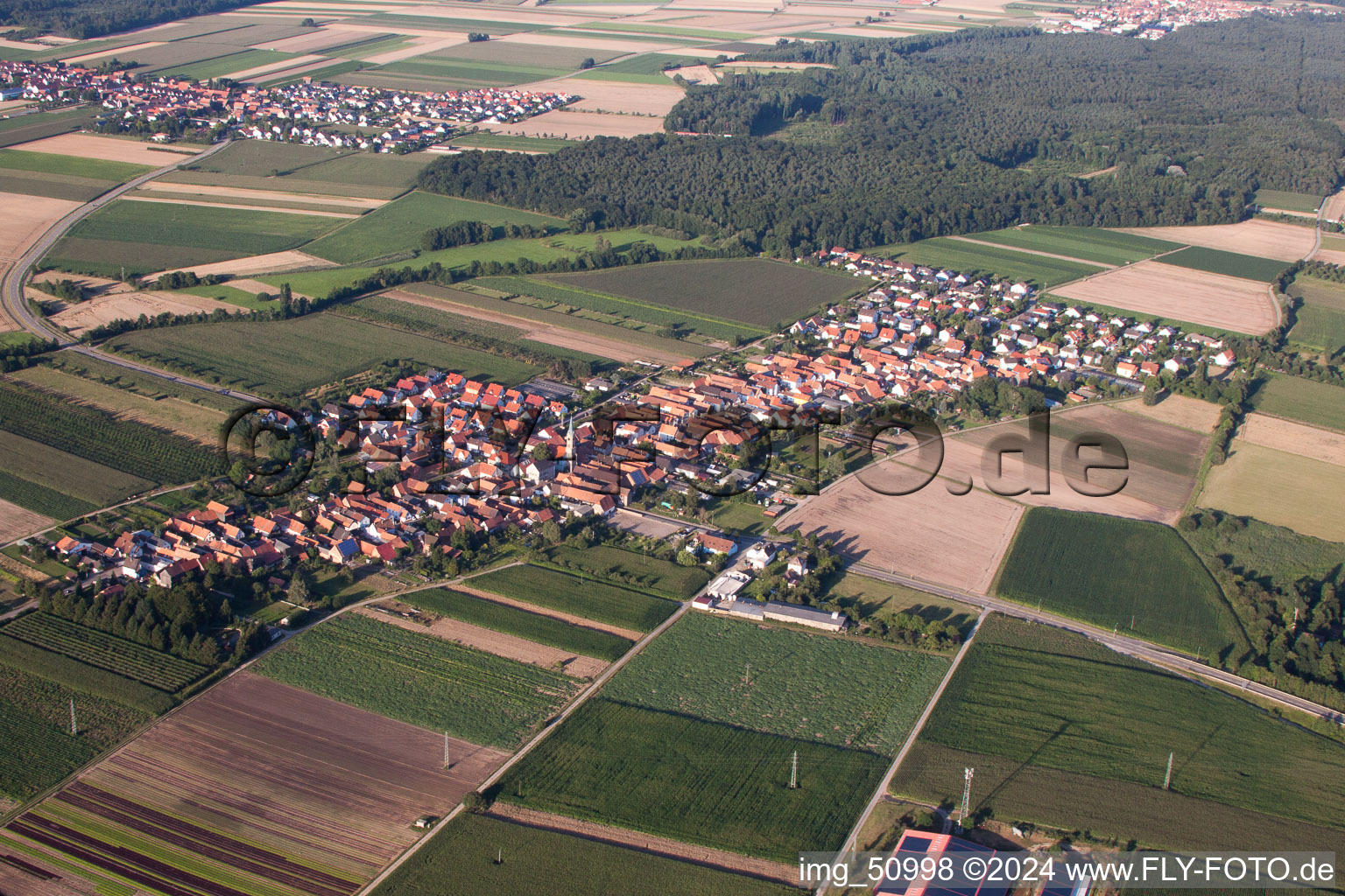 Schrägluftbild von Von Südwesten in Erlenbach bei Kandel im Bundesland Rheinland-Pfalz, Deutschland