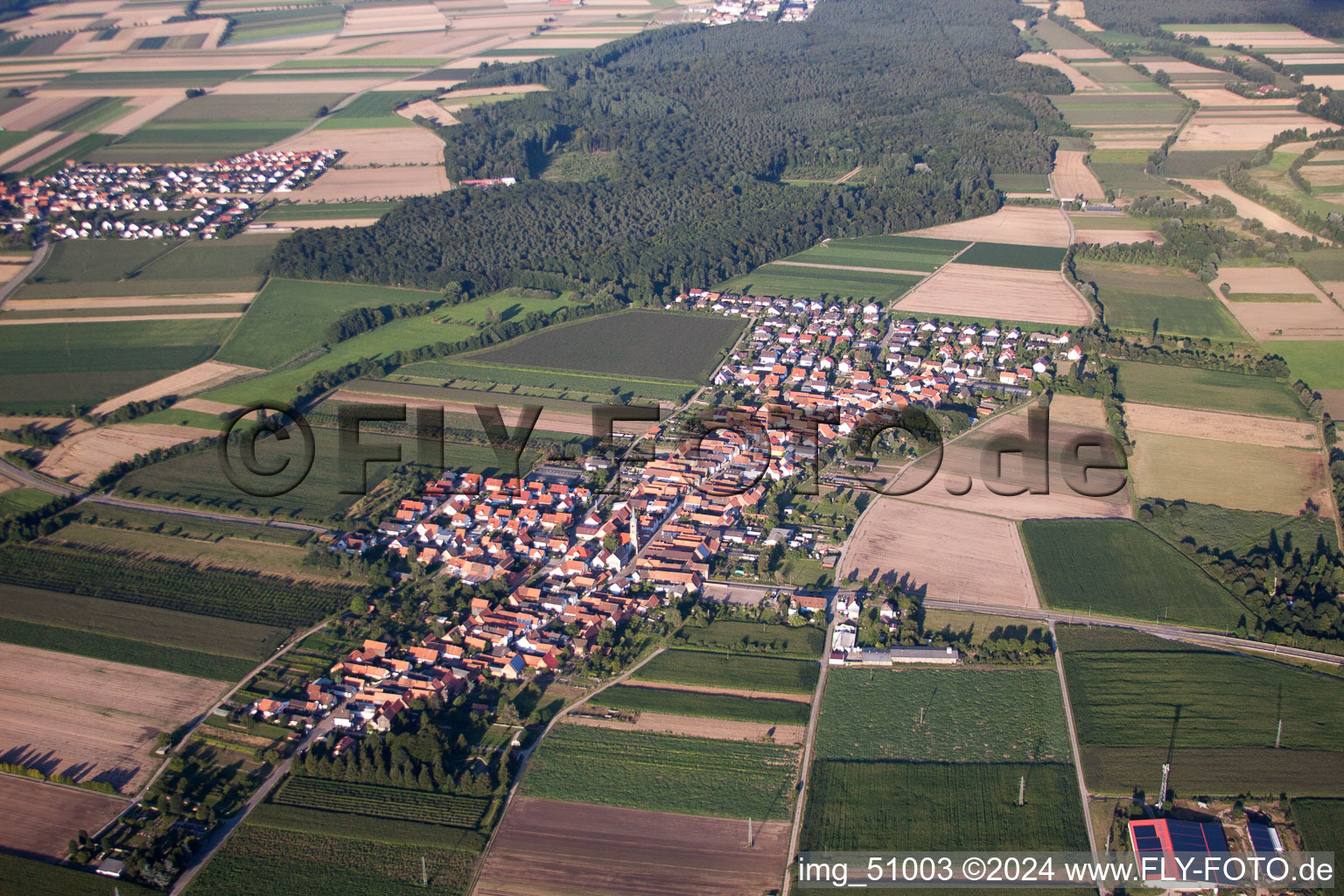 Luftbild von Von Westen in Erlenbach bei Kandel im Bundesland Rheinland-Pfalz, Deutschland