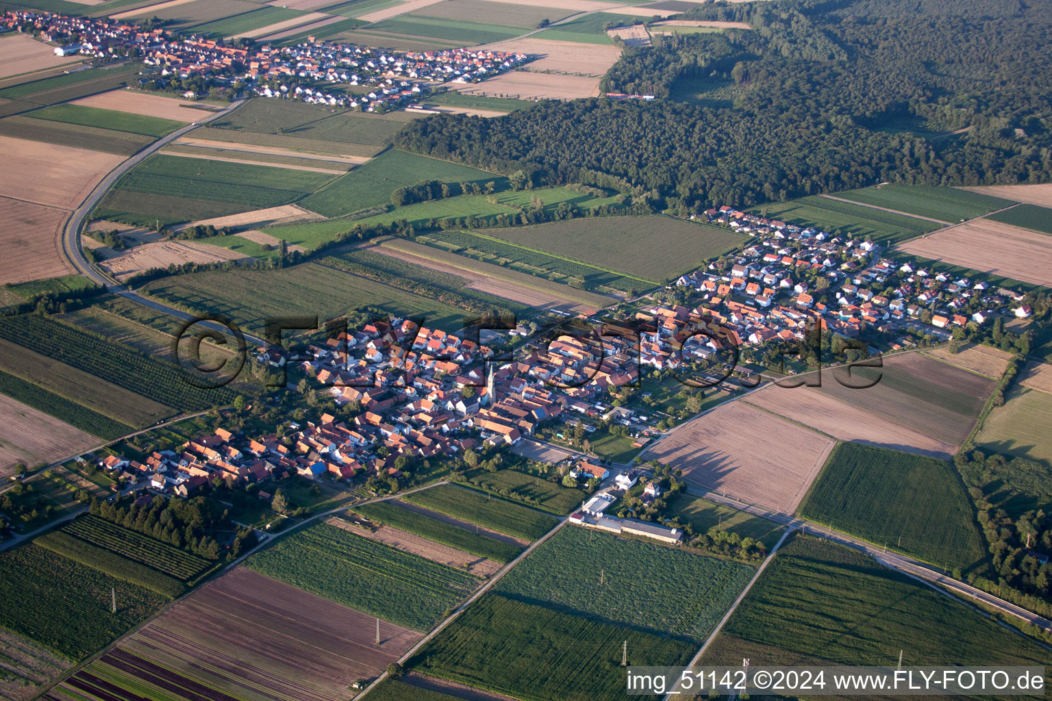 Luftbild von Aus Südosten in Erlenbach bei Kandel im Bundesland Rheinland-Pfalz, Deutschland