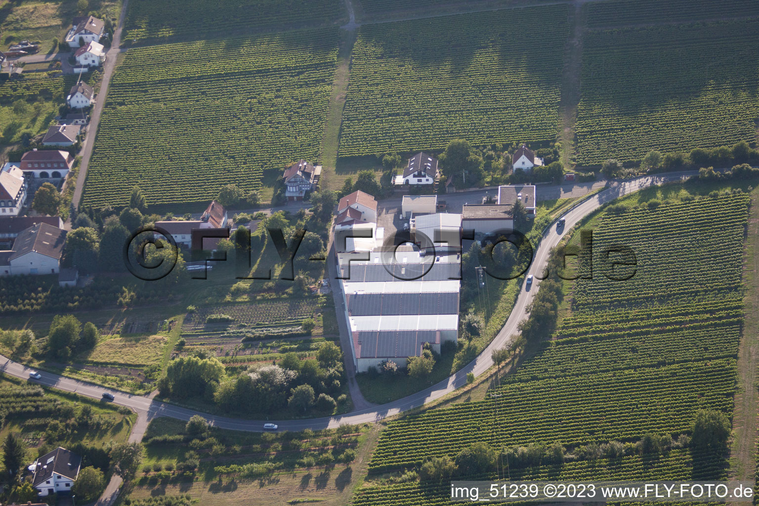 Drohnenbild von Oberotterbach im Bundesland Rheinland-Pfalz, Deutschland