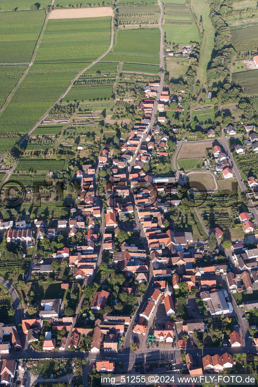 Schrägluftbild von Ortsansicht der Straßen und Häuser der Wohngebiete in Oberotterbach im Bundesland Rheinland-Pfalz, Deutschland