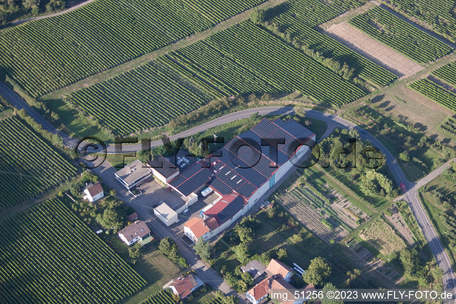 Luftbild von Oberotterbach, Wissing Weine im Bundesland Rheinland-Pfalz, Deutschland