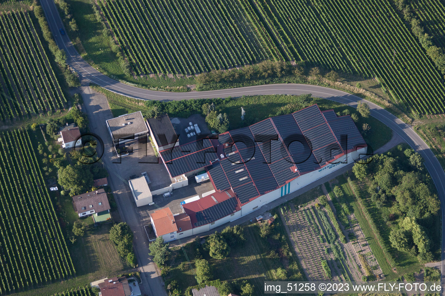 Luftaufnahme von Oberotterbach, Wissing Weine im Bundesland Rheinland-Pfalz, Deutschland