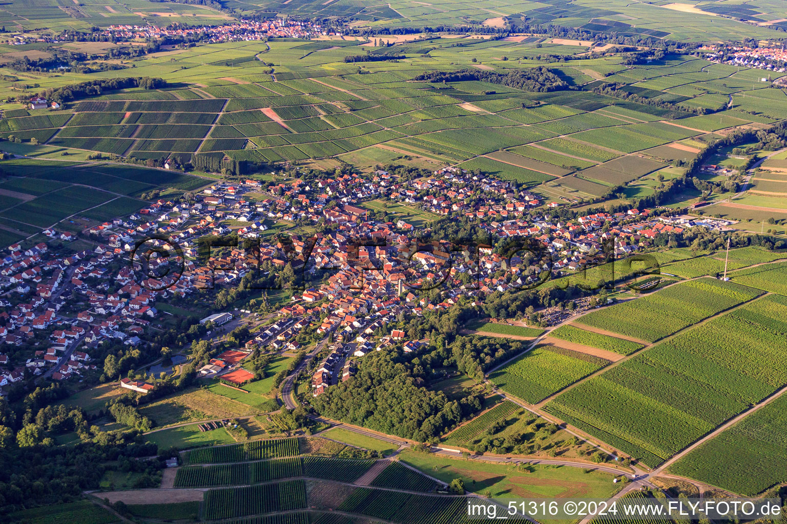 Klingenmünster im Bundesland Rheinland-Pfalz, Deutschland aus der Luft betrachtet