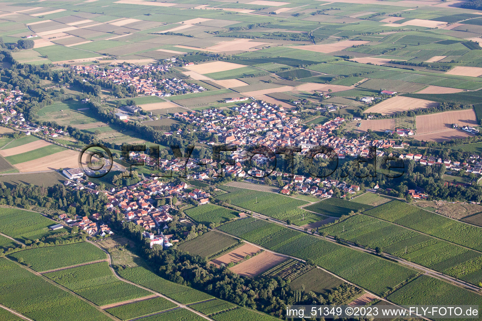 Luftaufnahme von Ortsteil Appenhofen in Billigheim-Ingenheim im Bundesland Rheinland-Pfalz, Deutschland