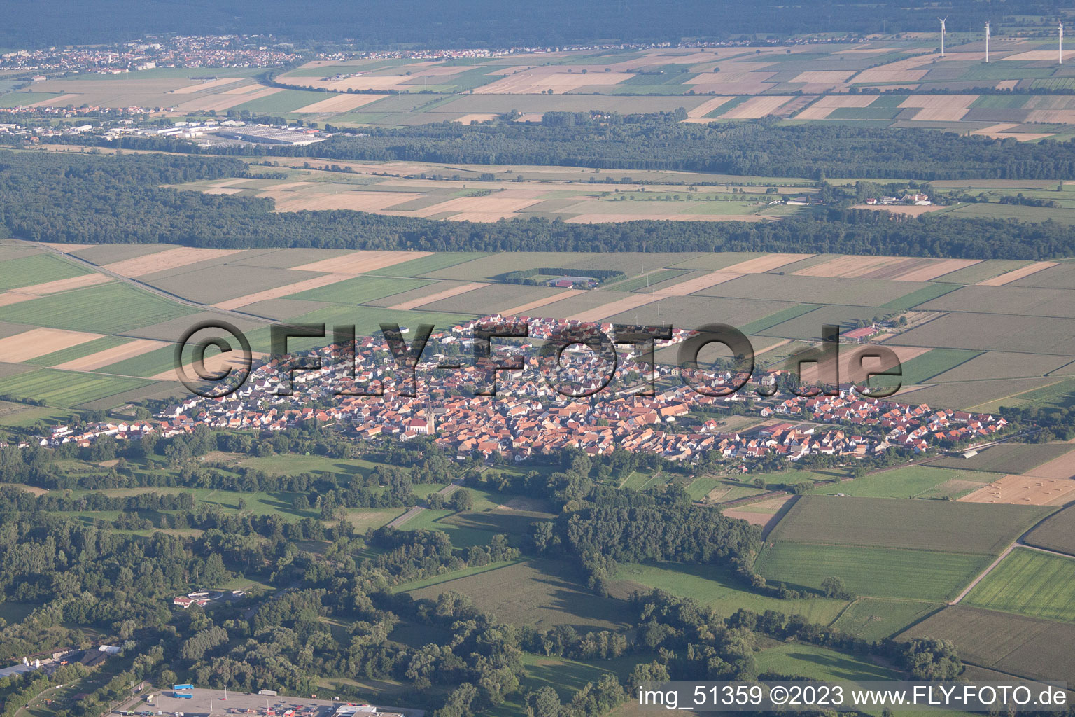 Steinweiler im Bundesland Rheinland-Pfalz, Deutschland von oben