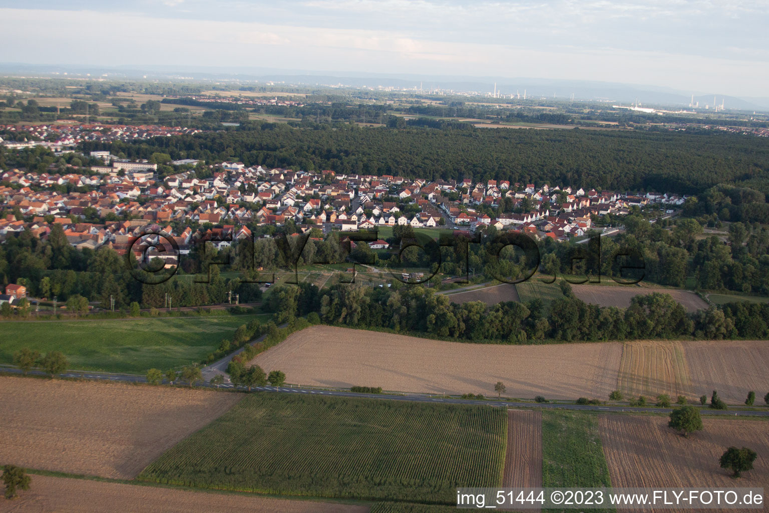 Rülzheim im Bundesland Rheinland-Pfalz, Deutschland von oben