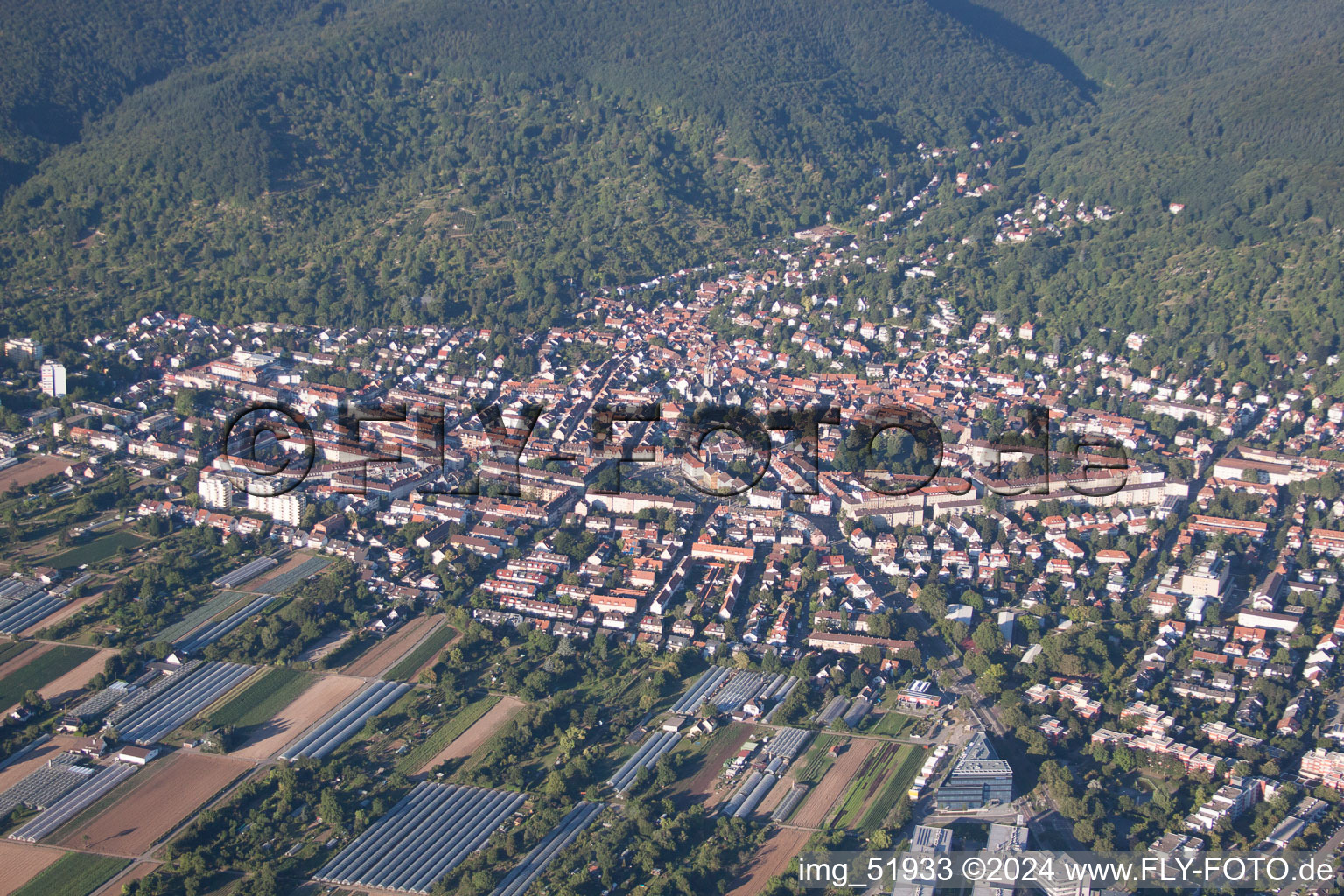 Luftbild von Ortsteil Handschuhsheim in Heidelberg im Bundesland Baden-Württemberg, Deutschland