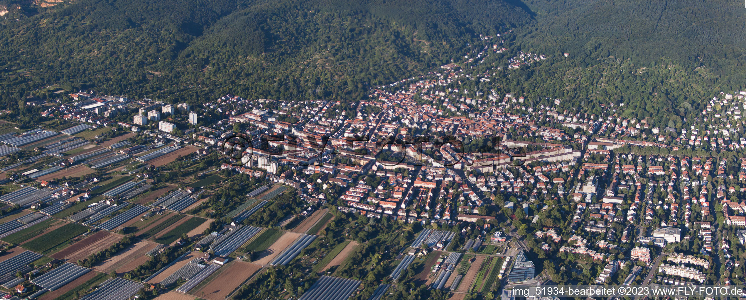 Luftaufnahme von Ortsteil Handschuhsheim in Heidelberg im Bundesland Baden-Württemberg, Deutschland