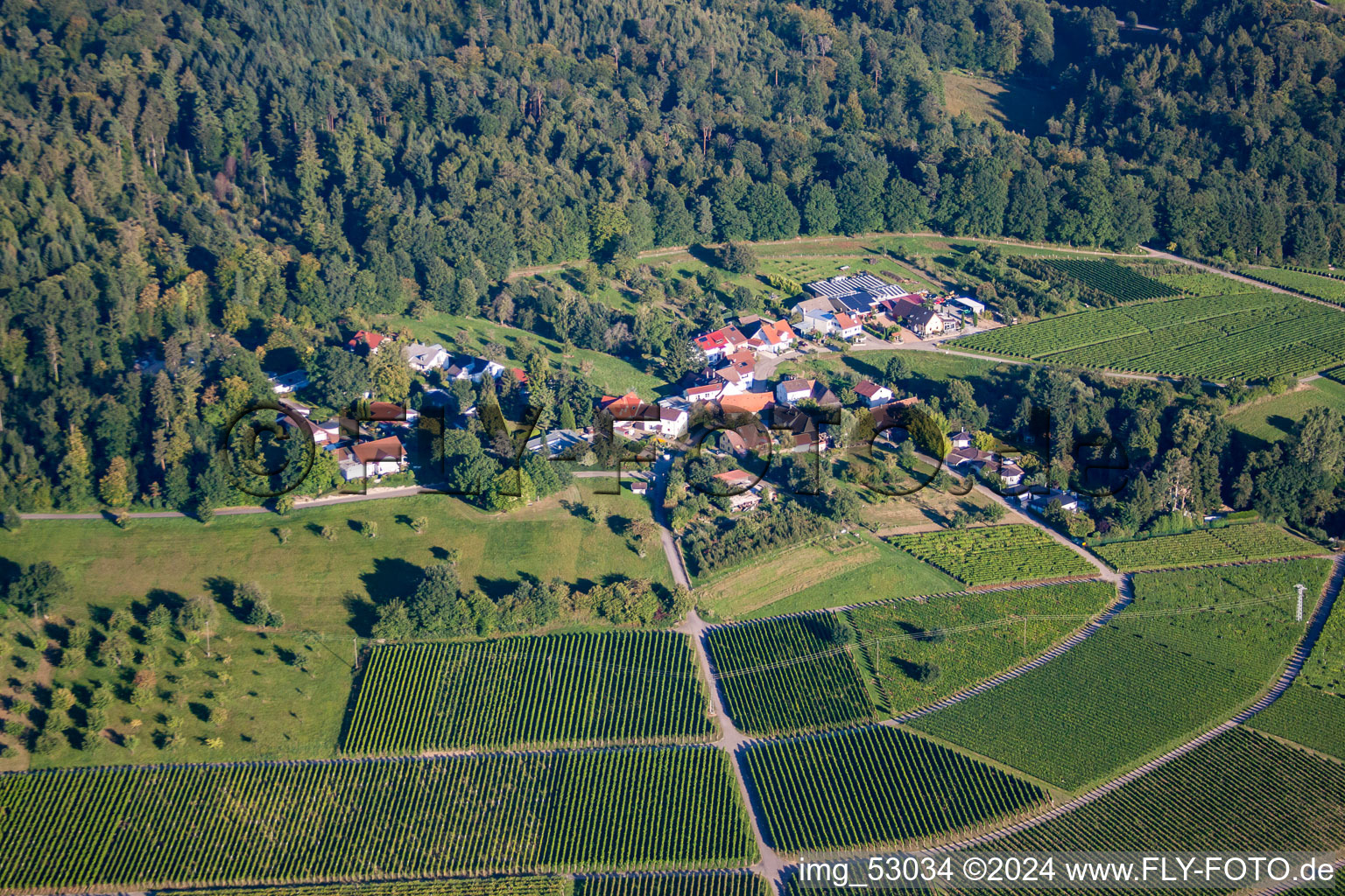 Weingut Kopp im Ortsteil Ebenung in Sinzheim im Bundesland Baden-Württemberg, Deutschland