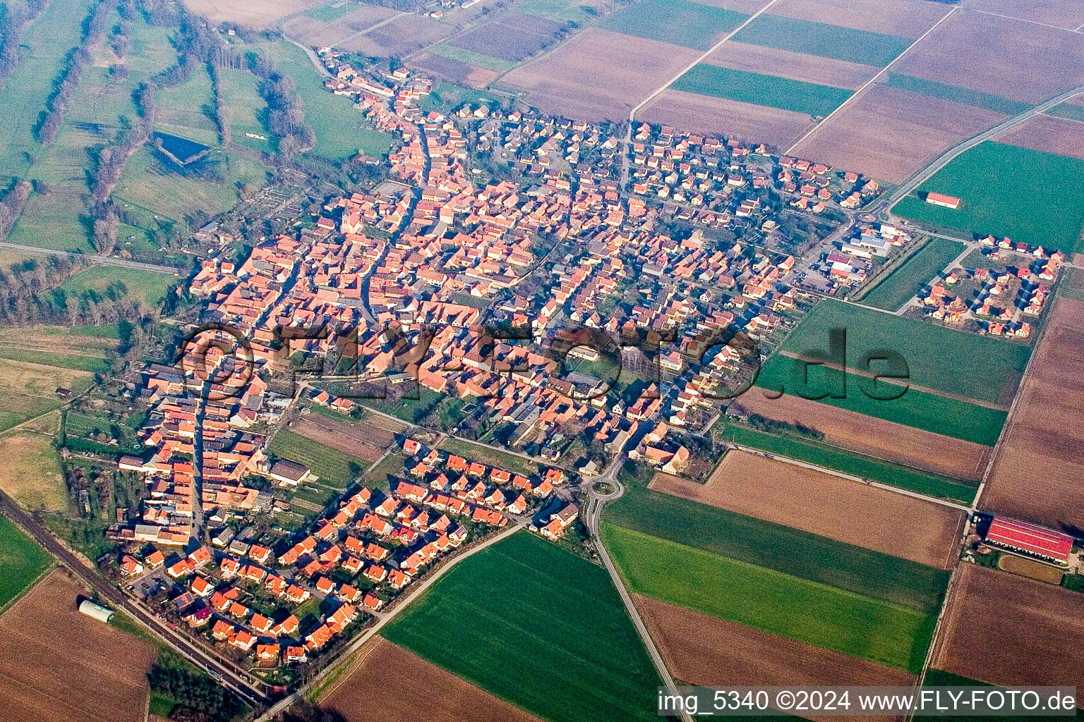 Luftbild von Dorf - Ansicht am Rande von landwirtschaftlichen Feldern und Nutzflächen in Steinweiler im Bundesland Rheinland-Pfalz, Deutschland