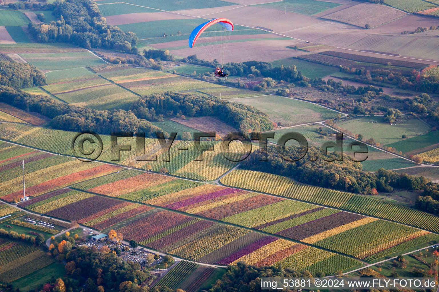 Felder einer Weinbergs- Landschaft mit Gleitschirm in Klingenmünster im Bundesland Rheinland-Pfalz, Deutschland