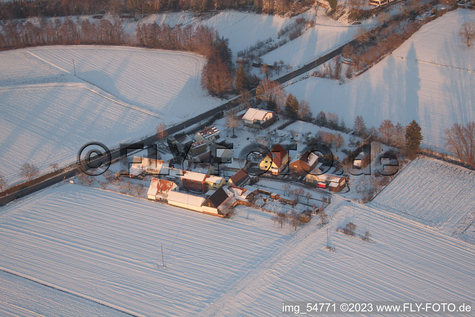 Luftbild von Minfeld, Welchhof im Bundesland Rheinland-Pfalz, Deutschland
