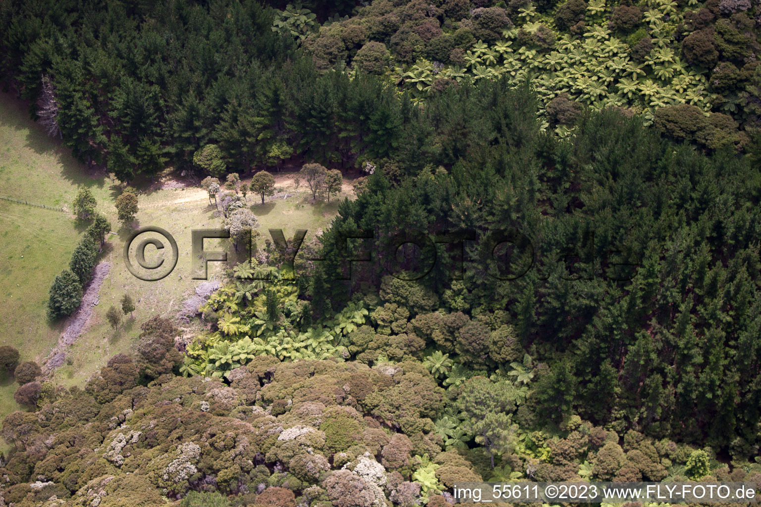 Coromandel im Bundesland Waikato, Neuseeland aus der Luft betrachtet