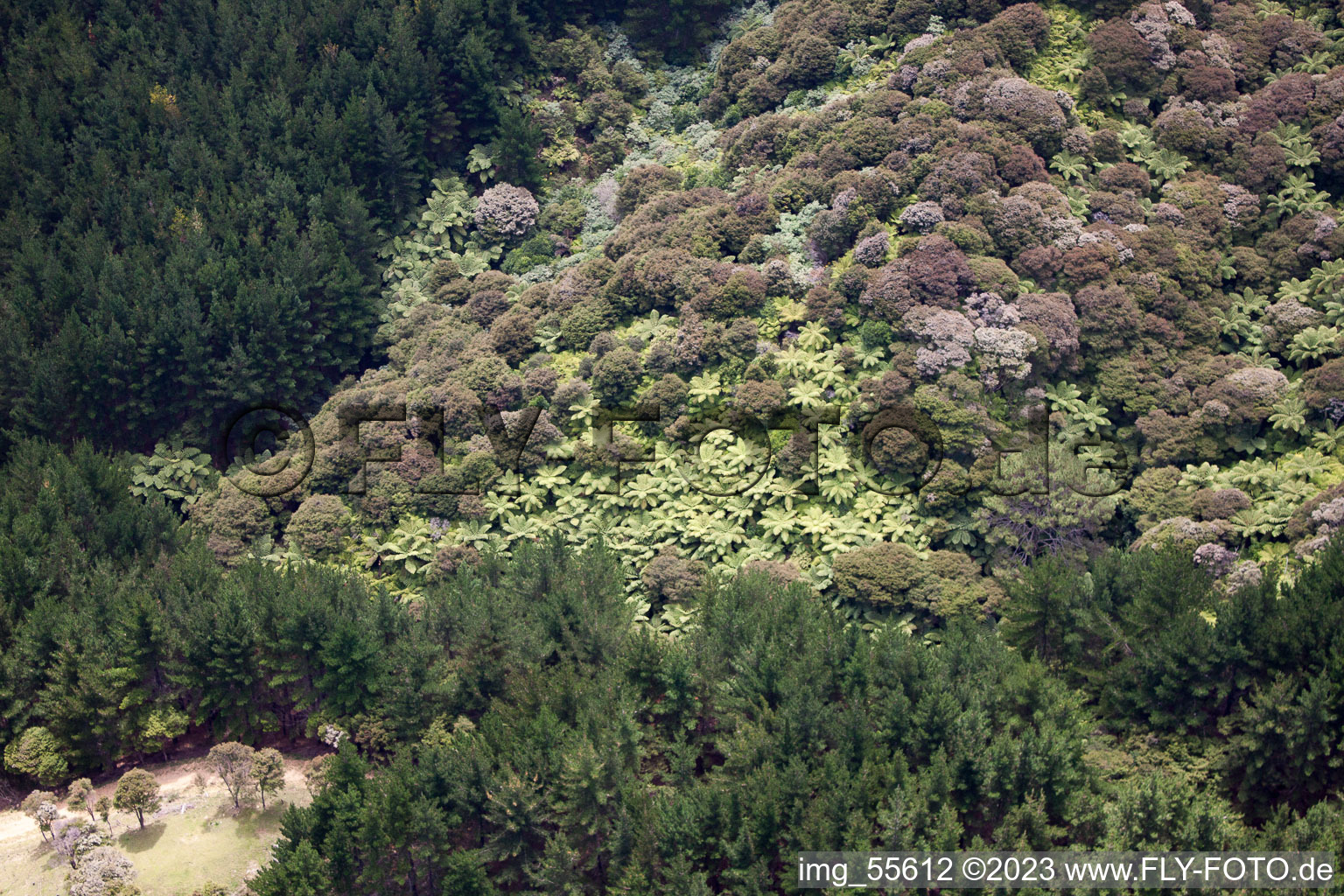 Drohnenaufname von Coromandel im Bundesland Waikato, Neuseeland