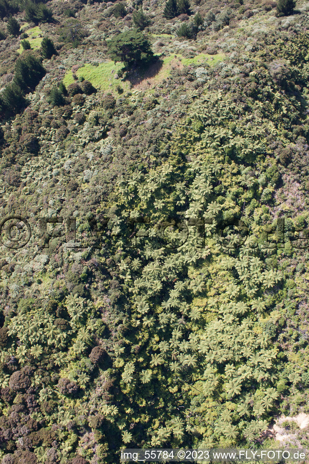 Schrägluftbild von Coromandel im Bundesland Waikato, Neuseeland