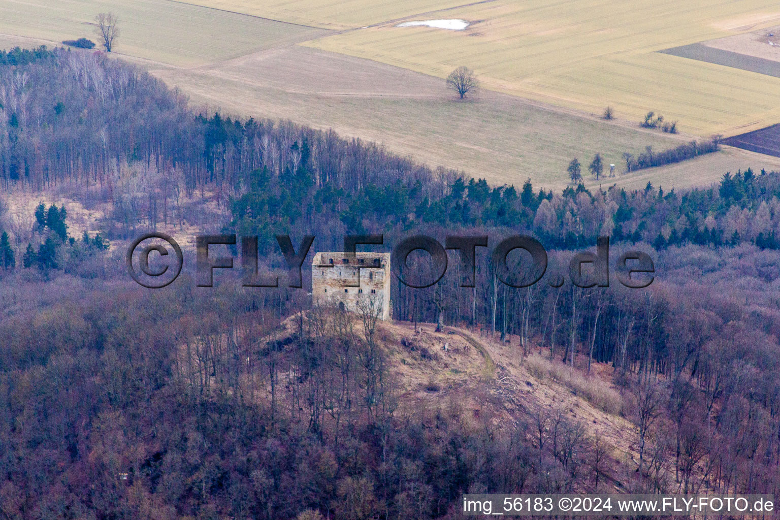 Mauerreste der ehemaligen Burganlage Burgruine Straufhain in Straufhain im Bundesland Thüringen, Deutschland