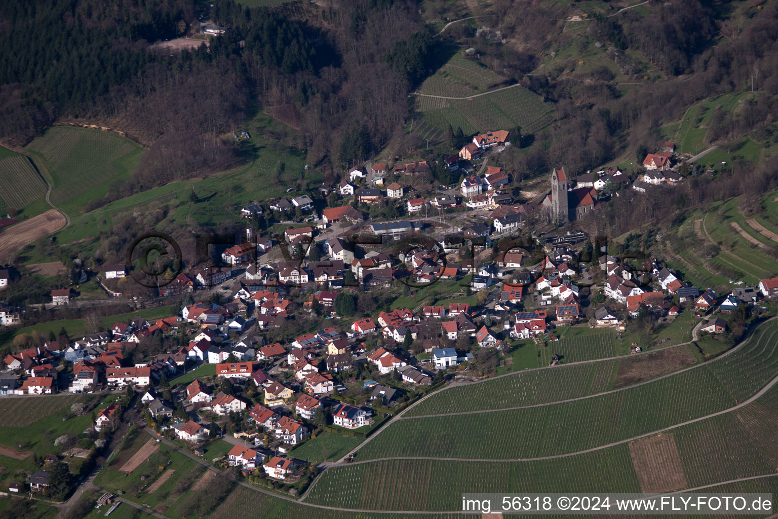 Ortsteil Neusatz in Bühl im Bundesland Baden-Württemberg, Deutschland vom Flugzeug aus