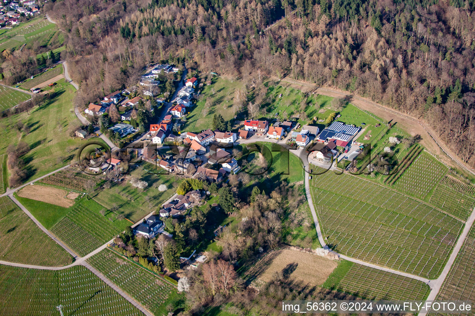 Ebenunger Straße in Sinzheim im Bundesland Baden-Württemberg, Deutschland