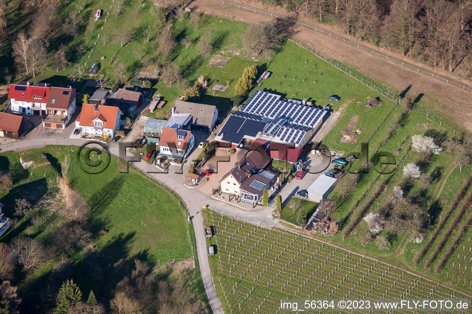 Luftbild von Weingut Kopp im Ortsteil Ebenung in Sinzheim im Bundesland Baden-Württemberg, Deutschland