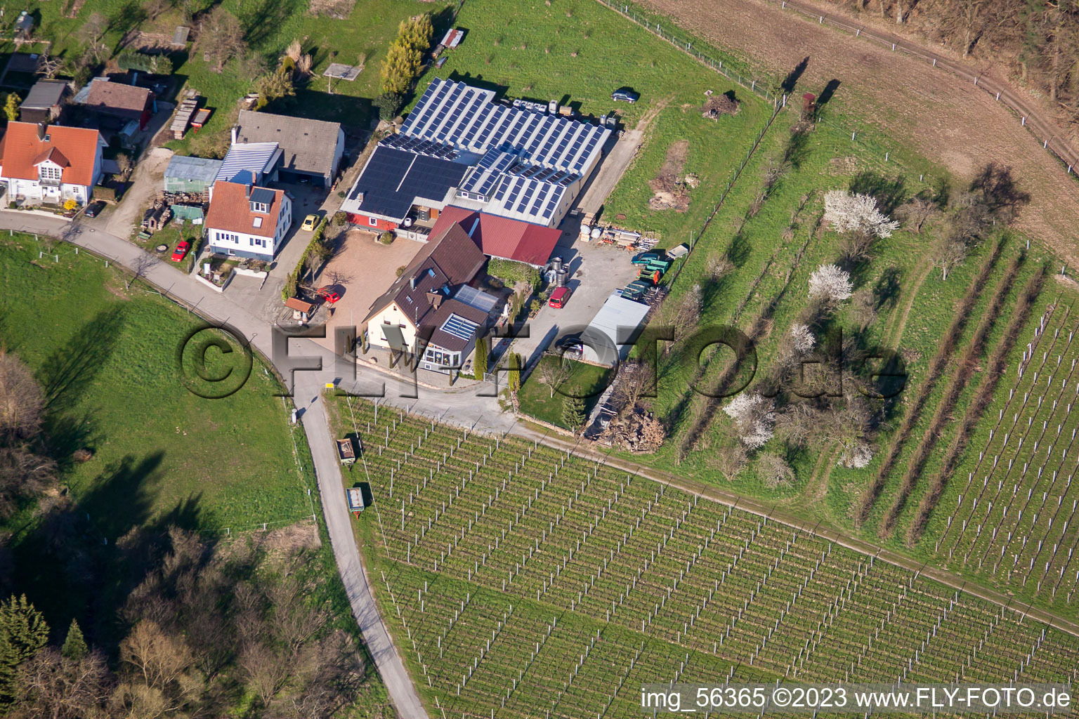 Luftaufnahme von Weingut Kopp im Ortsteil Ebenung in Sinzheim im Bundesland Baden-Württemberg, Deutschland