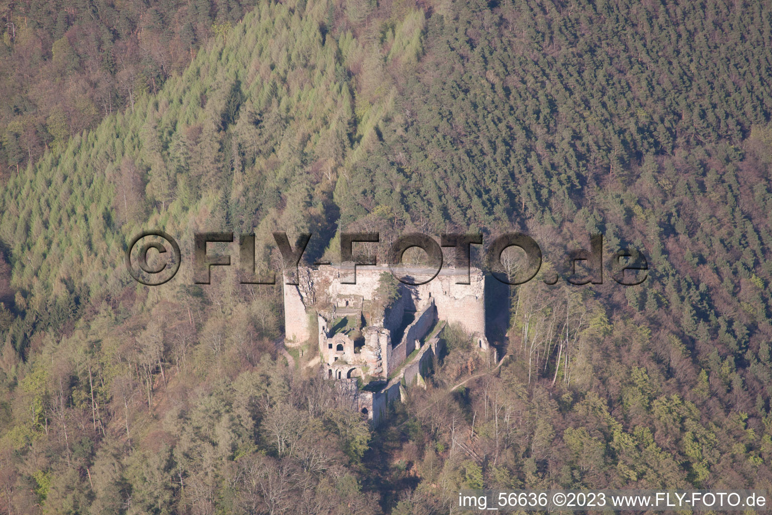 Dernbach, Burg Neuscharfeneck im Bundesland Rheinland-Pfalz, Deutschland vom Flugzeug aus