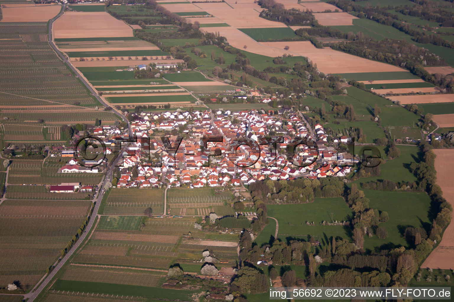 Venningen im Bundesland Rheinland-Pfalz, Deutschland aus der Luft betrachtet