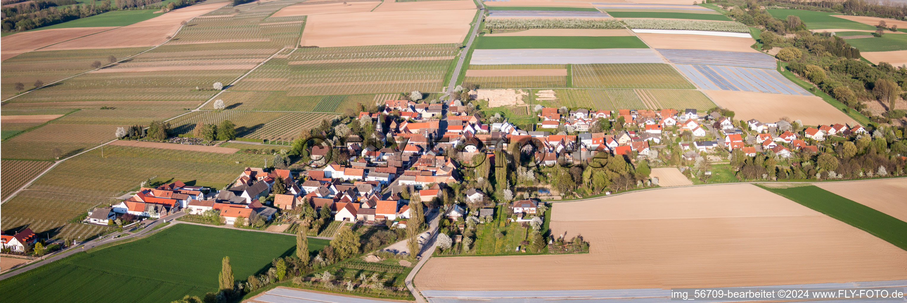 Panorama Perspektive Dorf - Ansicht am Rande von landwirtschaftlichen Feldern und Nutzflächen in Kleinfischlingen im Bundesland Rheinland-Pfalz, Deutschland