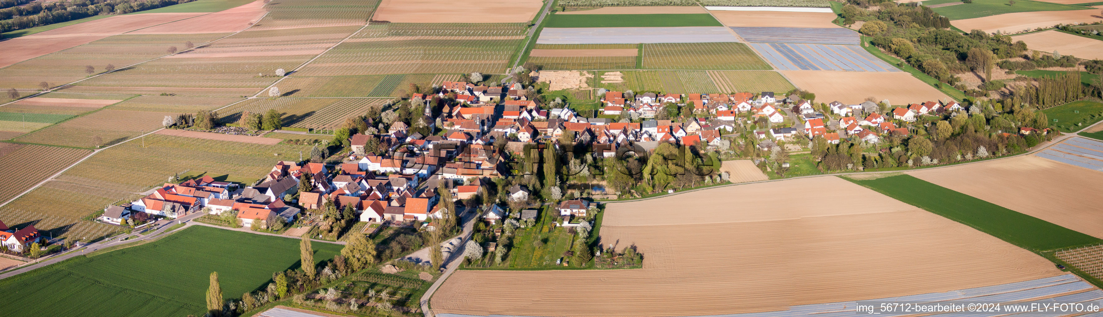 Luftbild von Panorama Perspektive Dorf - Ansicht am Rande von landwirtschaftlichen Feldern und Nutzflächen in Kleinfischlingen im Bundesland Rheinland-Pfalz, Deutschland