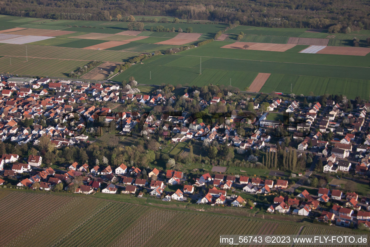 Schrägluftbild von Hochstadt im Bundesland Rheinland-Pfalz, Deutschland
