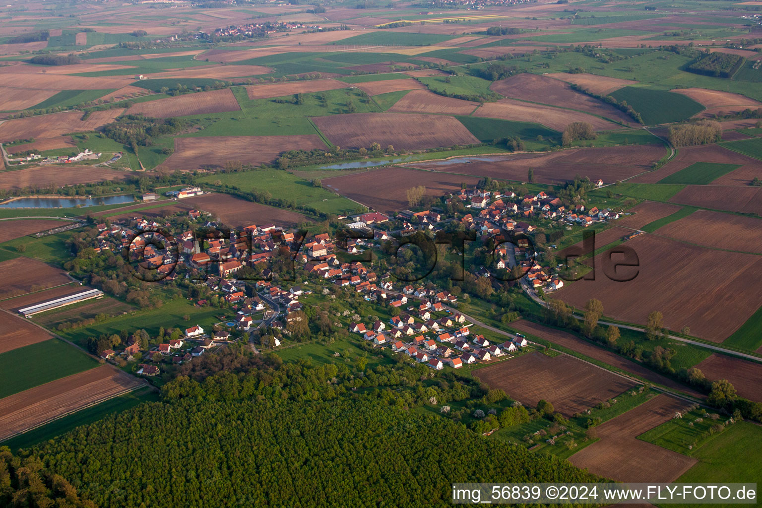 Luftbild von Dorf - Ansicht am Rande von landwirtschaftlichen Feldern und Nutzflächen in Kutzenhausen in Grand Est im Bundesland Bas-Rhin, Frankreich