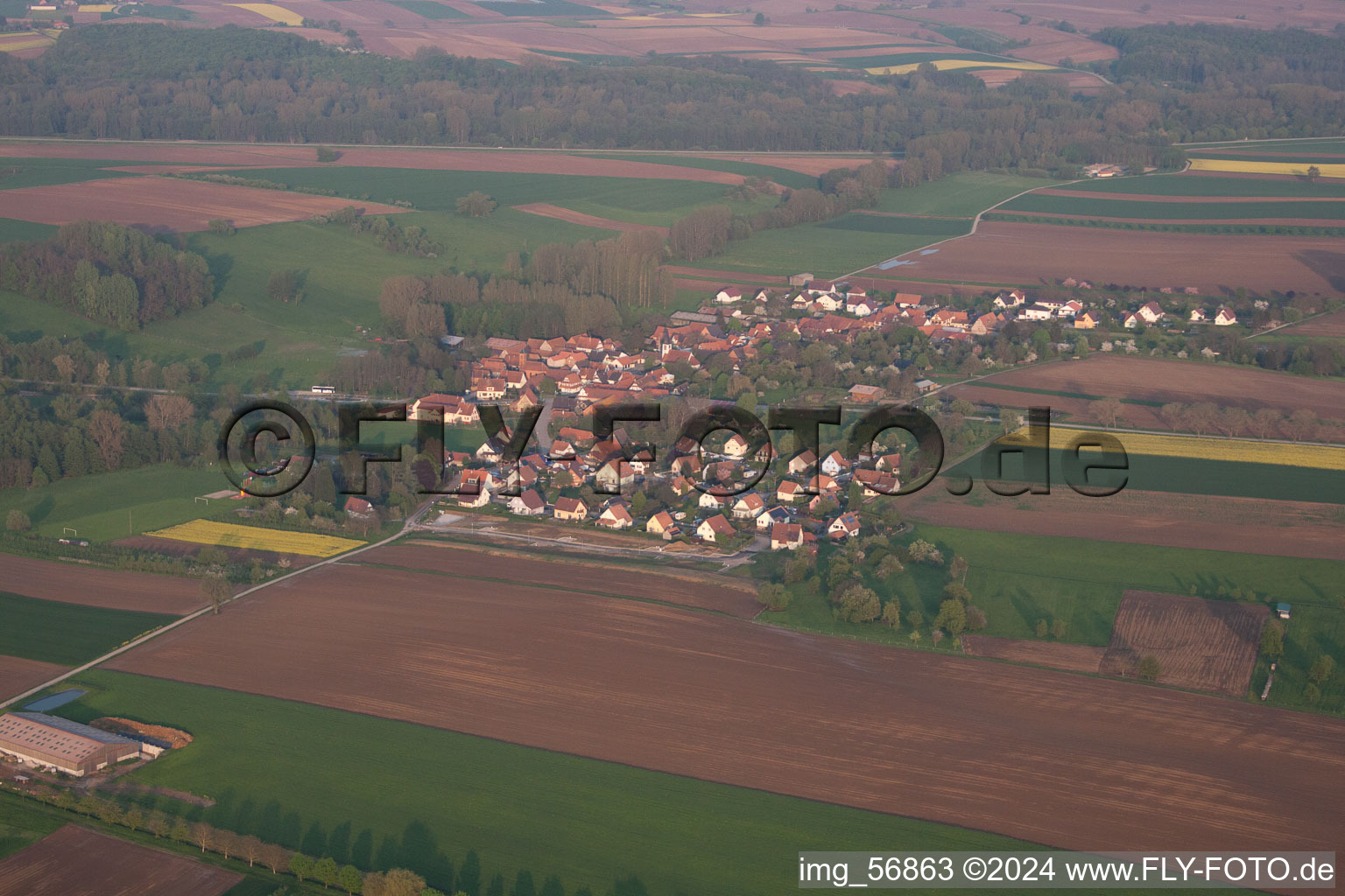 Luftbild von Dorf - Ansicht am Rande von landwirtschaftlichen Feldern und Nutzflächen in Ingolsheim in Grand Est im Bundesland Bas-Rhin, Frankreich
