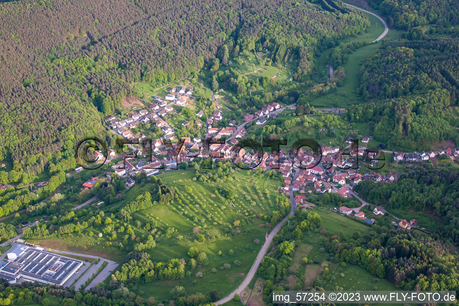 Schwanheim im Bundesland Rheinland-Pfalz, Deutschland aus der Luft betrachtet