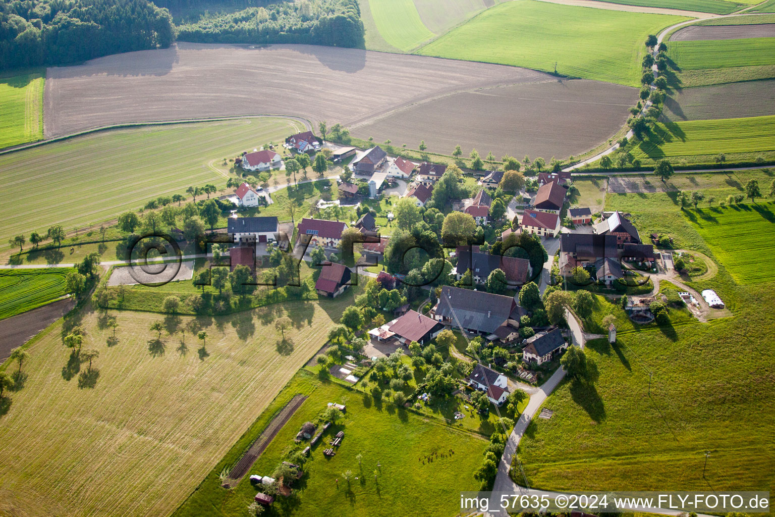 Dorf - Ansicht am Rande von landwirtschaftlichen Feldern und Nutzflächen im Ortsteil Alberweiler in Herdwangen-Schönach im Bundesland Baden-Württemberg, Deutschland