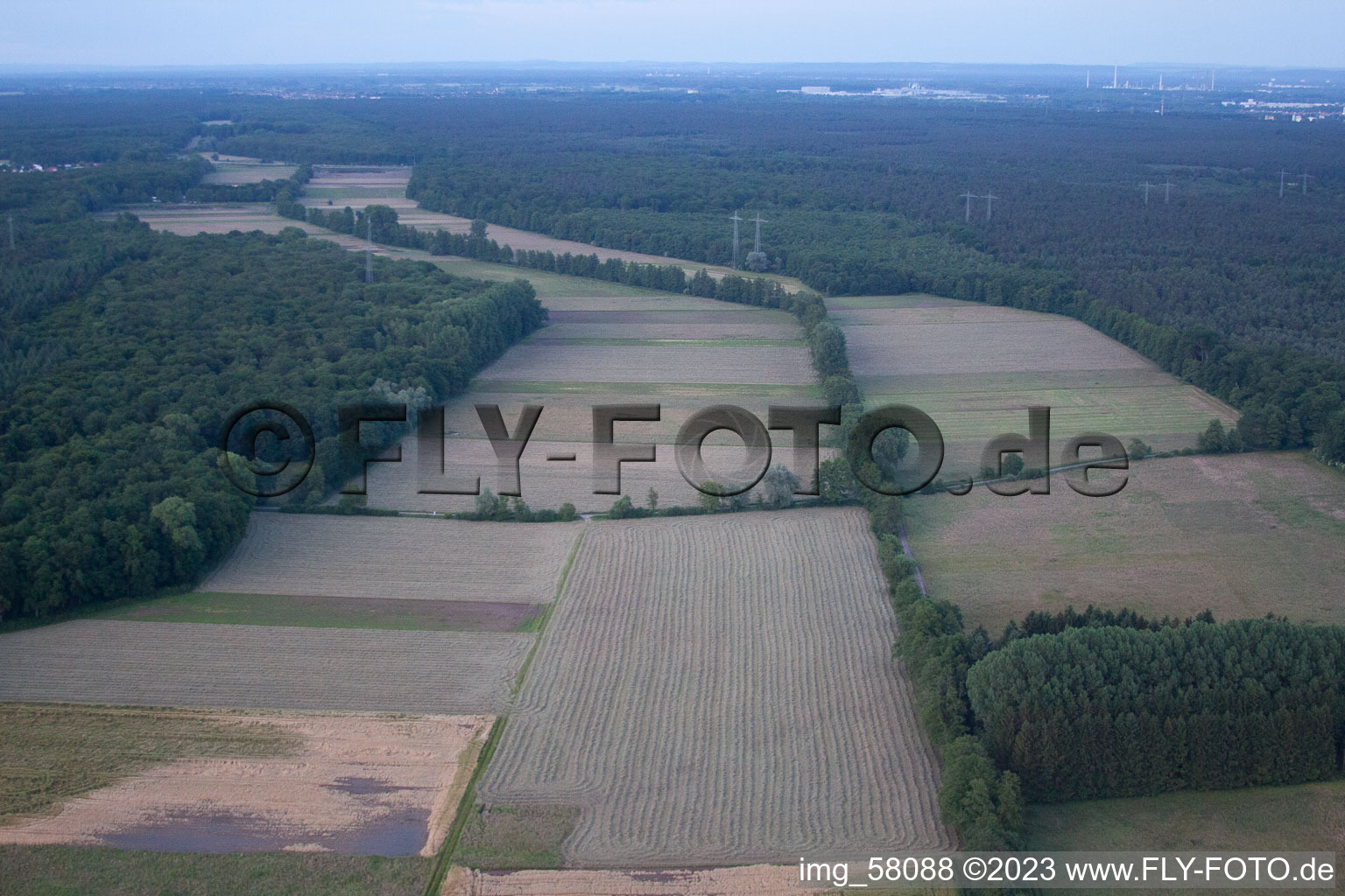 Minfeld im Bundesland Rheinland-Pfalz, Deutschland aus der Drohnenperspektive