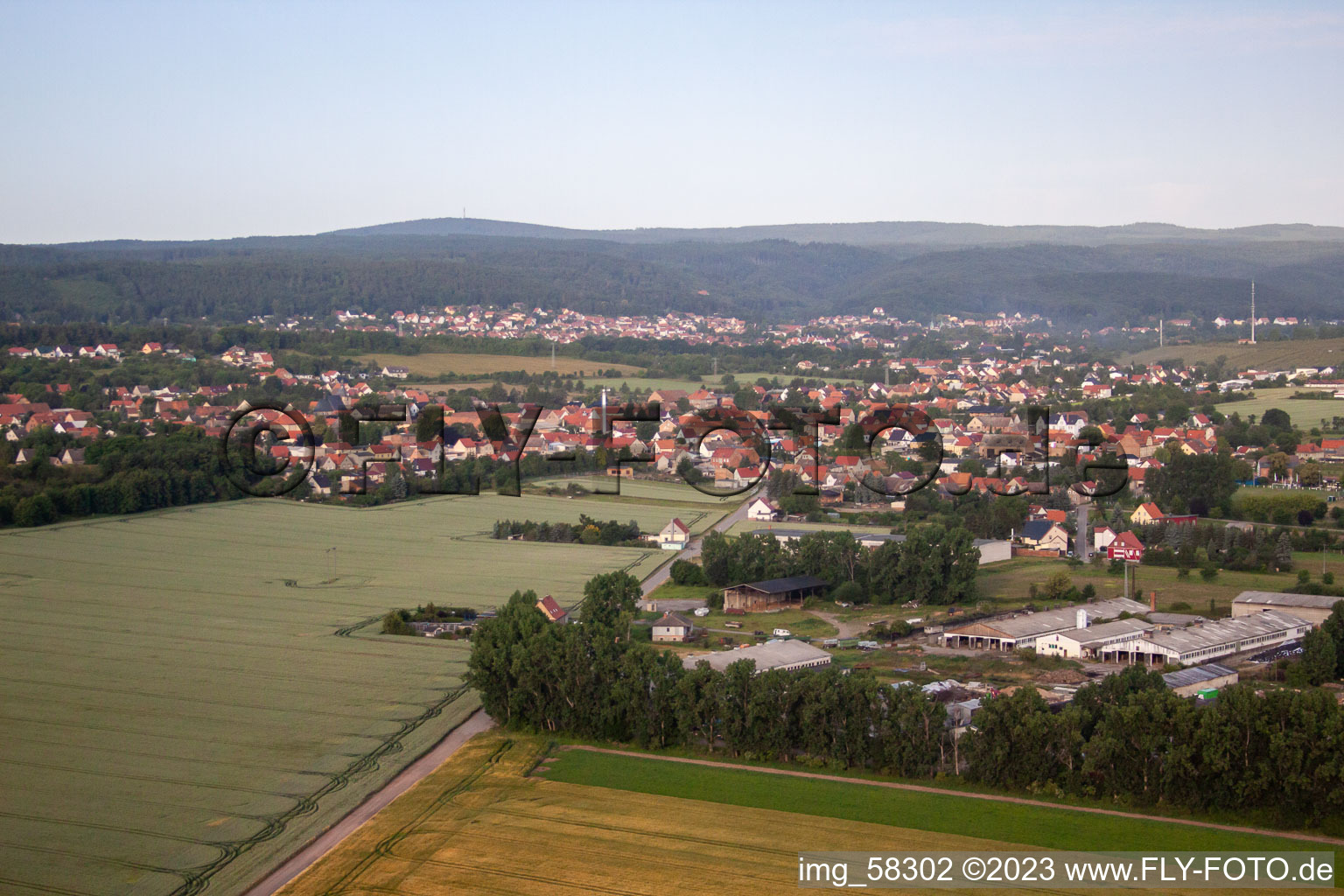 Ortsteil Rieder in Ballenstedt im Bundesland Sachsen-Anhalt, Deutschland von oben