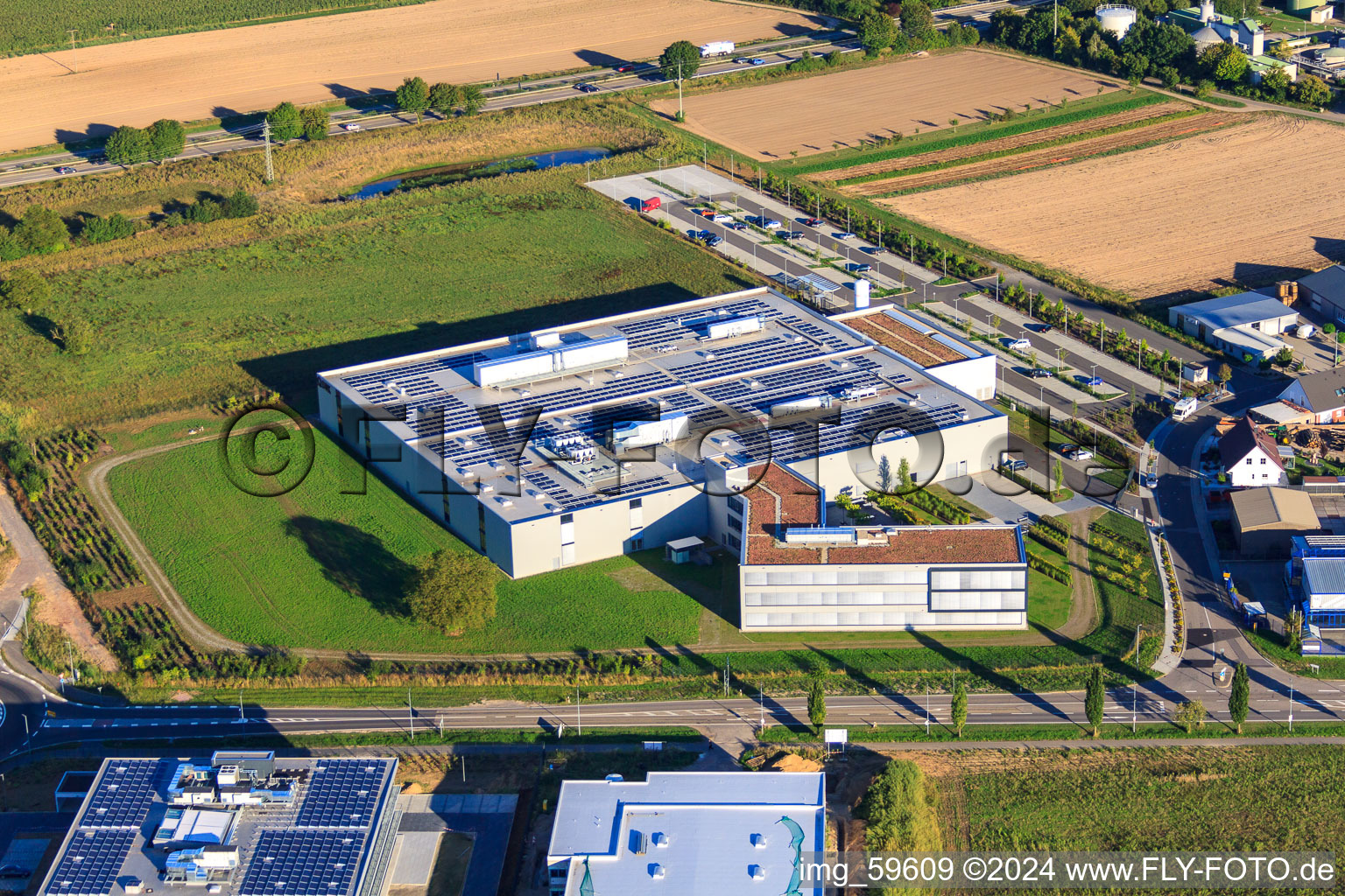 Rülzheim im Bundesland Rheinland-Pfalz, Deutschland von der Drohne aus gesehen