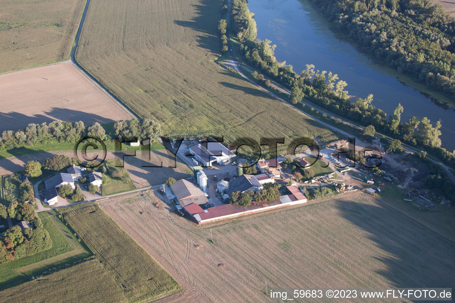 Drohnenbild von Ortsteil Rheinsheim in Philippsburg im Bundesland Baden-Württemberg, Deutschland